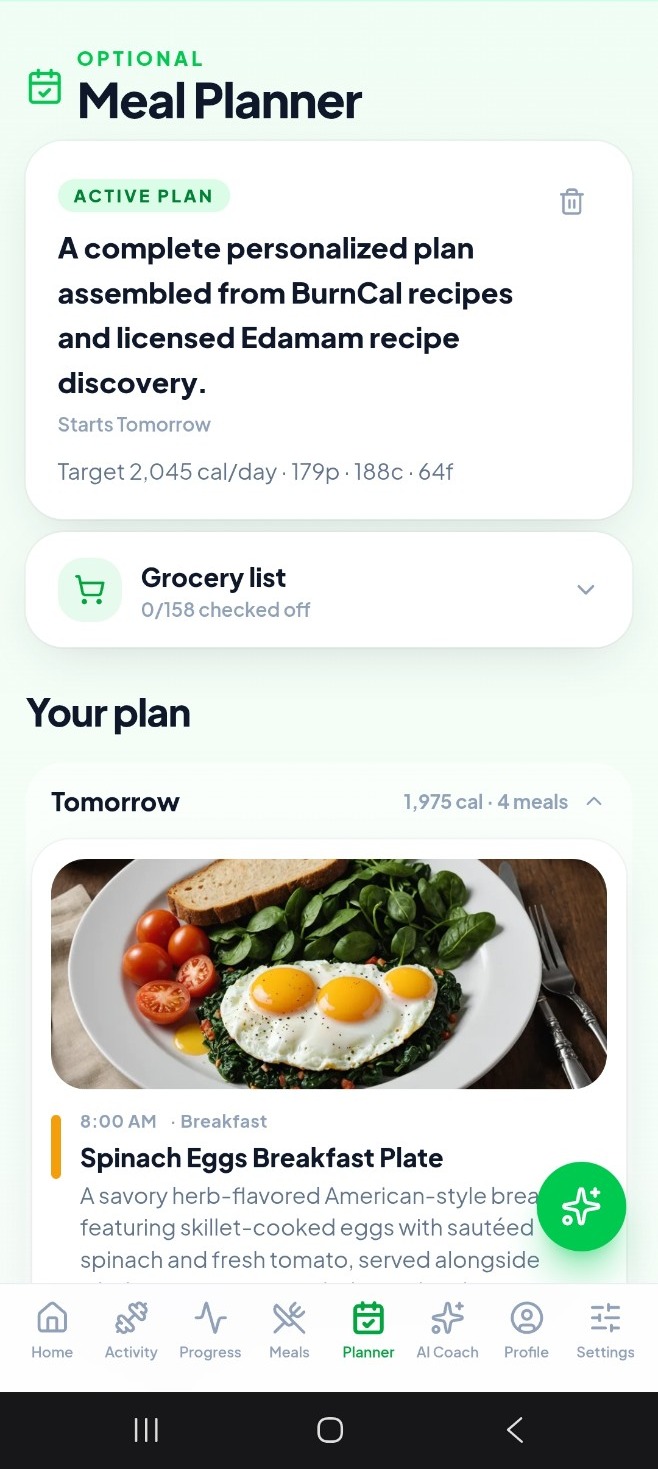BurnCal AI meal planner